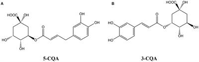 Frontiers The Biological Activity Mechanism Of Chlorogenic Acid And